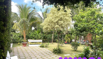 Villa nghỉ dưỡng Thành Sơn - Chợ