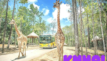 Vinpearl Safari Phú Quốc - Kiên Giang