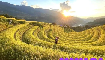 Võng Lúa (Móng Ngựa), Mù Cang Chải, - Yên Bái