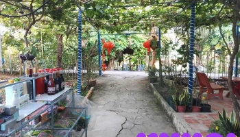 Vườn nho Hồng Dân - Hồng Dân