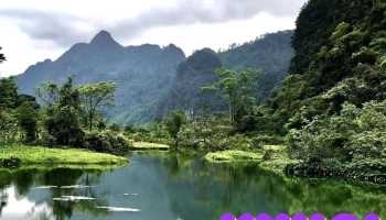 Vườn quốc gia Phong Nha – Kẻ Bàng - Việt Nam