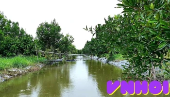 Vườn sinh thái Hồng Sơn - An Giang
