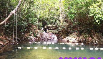 Vườn thực vật Phong Nha - Đt20