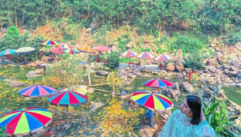 Vườn Đồi Cá Vàng Khe Tọ - Nghệ An