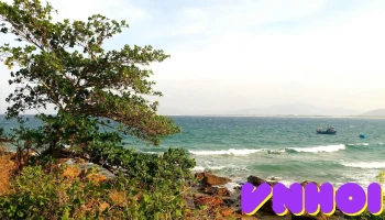 Đá Mũi Rồng - Mỹ Thọ