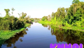 Đài Quan Sát Làng nổi Tân lập - Tân Lập