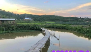 Điểm check in Cánh Đồng Hoa - Đắk Nông - Krông Nô