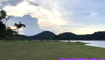 Điểm Cắm Trại - Xuân Thái