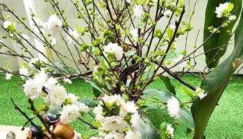 Điểm Tham Quan Du Lịch - Thuỵ Khuê