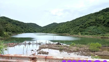 Đảo Cái Chiên - Unnamed Road