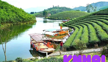 Đảo Chè Thanh Chương - Điếu Cày Travel - Nghệ An
