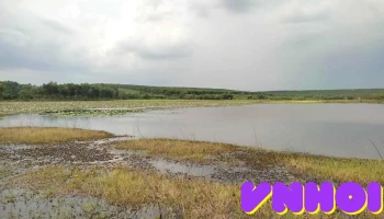 Đầm Sen Phước Thiện - Bình Phước