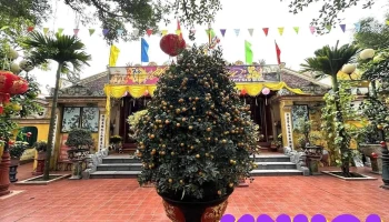 Đền Cây Quế - Nam Định