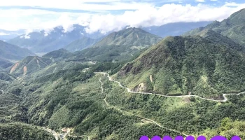 Đỉnh Đèo Ô Quy Hồ - Sơn Bình