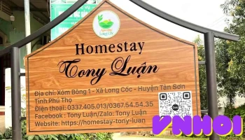 Đồi Chè Long Cốc - Phú Thọ