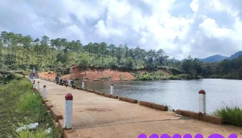 Đồi cù Bảo Lâm - Bảo Lâm