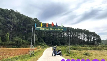 Đồi cỏ Masara - Tà Năng