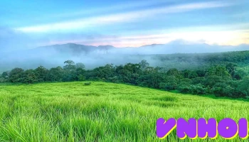 Đồi cỏ Măng Đen - Măng Cành