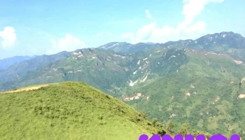 Đồi cỏ Phiêng Mường - Hà Giang