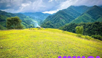 Đồi cỏ Pò Lóm - Cao Bằng