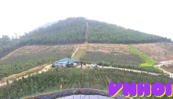 Đồi hoa Phù Mây Xanh - Đồng Lính