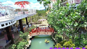 Đồi Mây Trắng - Đà Lạt - Phường 7