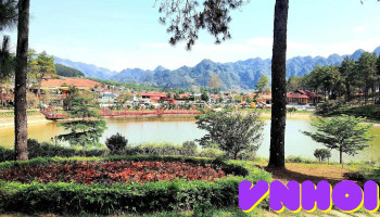 Đồi thông Bản Áng - Đông Sang