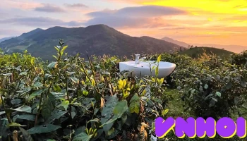 Đồi Vô Ưu - Đại Lào