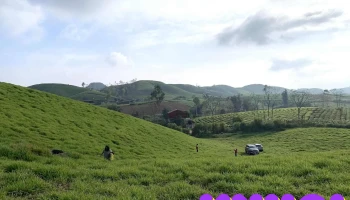 Đồng cỏ Thảo nguyên Mộc Châu - Unnamed Road