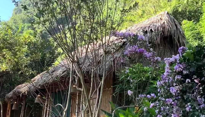 Ans Eco Garden Ninh Binh Video - Ninh Bình