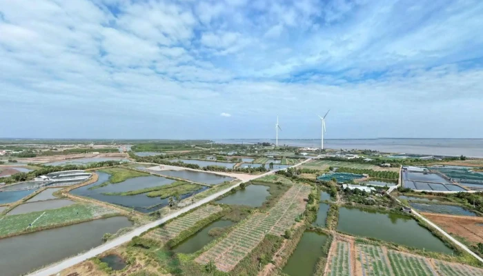 Bai Bien Canh Dong Dien Gio Che Do Xem Pho Va 360deg - Bến Tre