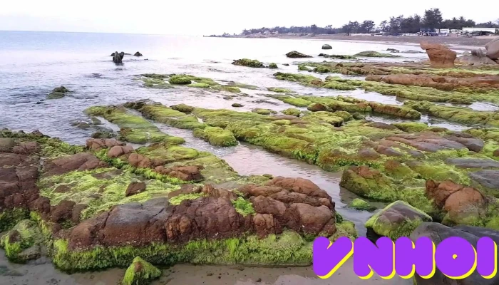 Bai Bien Co Thach Video - Bình Thuận