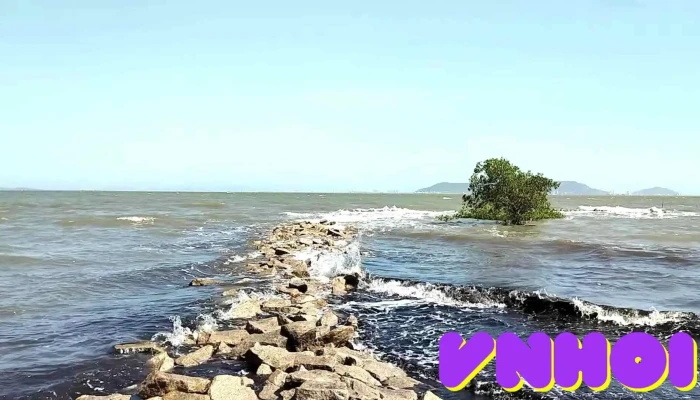 Bai Bien Cong Vien Can Gio Video - Hồ Chí Minh