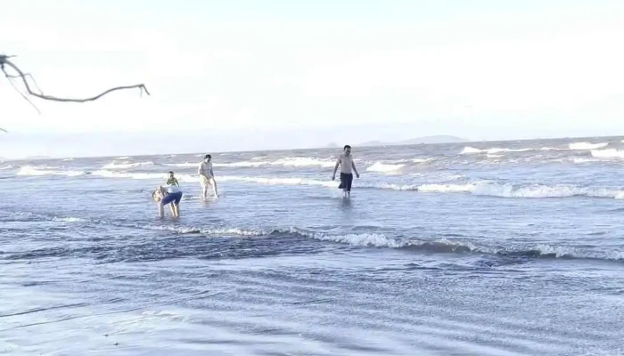 Bai Bien Dien Thanh Video - Nghệ An