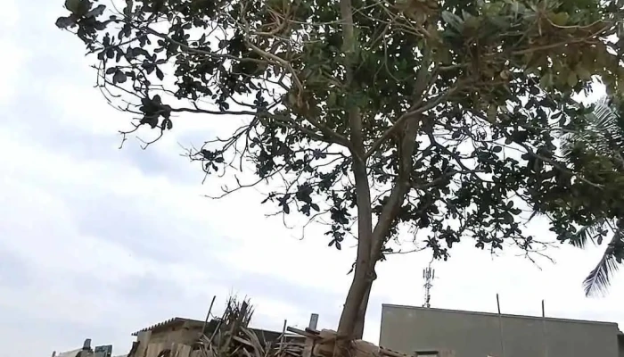 Bai Bien Phan Thiet Video - Bình Thuận