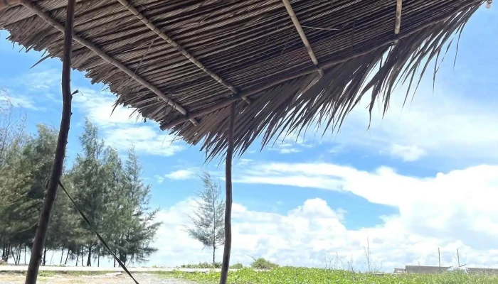 Bai Bien Thua Duc Moi Nhat - Bến Tre