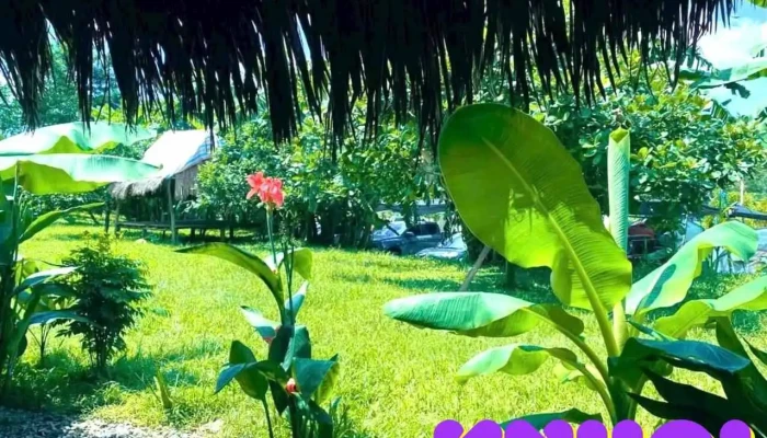Bai Cam Trai Hoang Da Dan Hy Moi Nhat - Bình Thuận