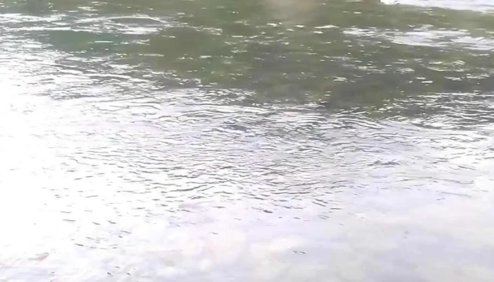 Bai Cam Trai Hoang Da Dan Hy Video - Bình Thuận