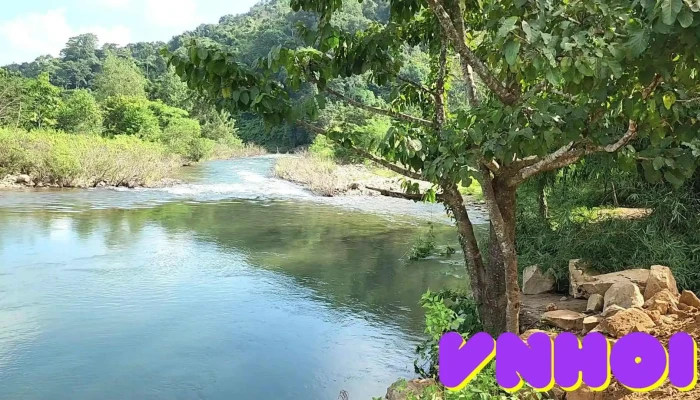 Bai Cam Trai La Ngau Cua Chu So Huu - Bình Thuận
