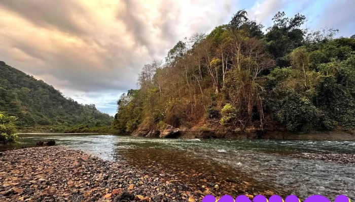 Bai Cam Trai La Ngau Moi Nhat - Bình Thuận