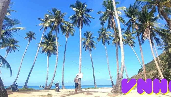 Bai Cay Men Cua Chu So Huu - Kiên Giang