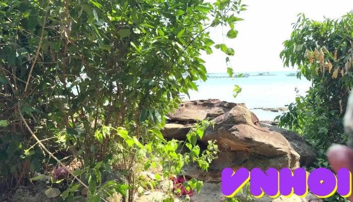 Bai Da Mui Ganh Dau Video - Kiên Giang