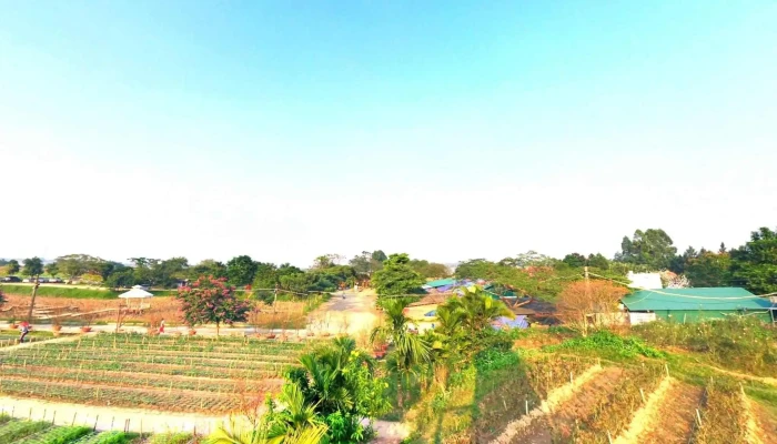 Bai Da Song Hong Che Do Xem Pho Va 360deg - Hà Nội