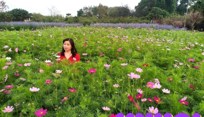 Bai Da Song Hong Tat Ca - Hà Nội