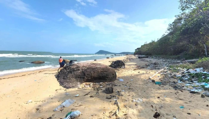 Bai Dam Che Do Xem Pho Va 360deg - Kiên Giang