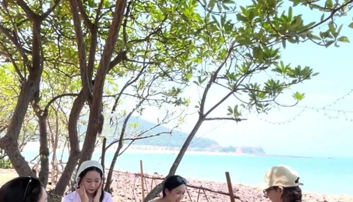 Bai Lu Moi Nhat - Nghệ An