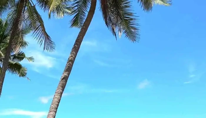 Bai Rang Video - Bình Thuận
