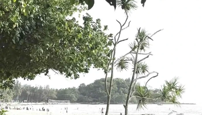 Bai Sau Mui Nai Moi Nhat - Kiên Giang