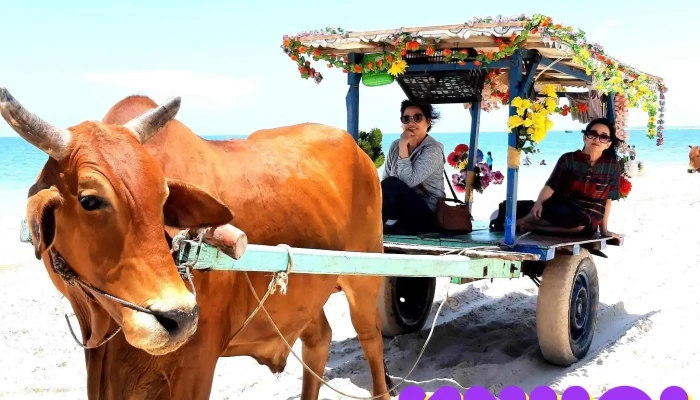 Bai Tam Cam Binh Tat Ca - Bình Thuận