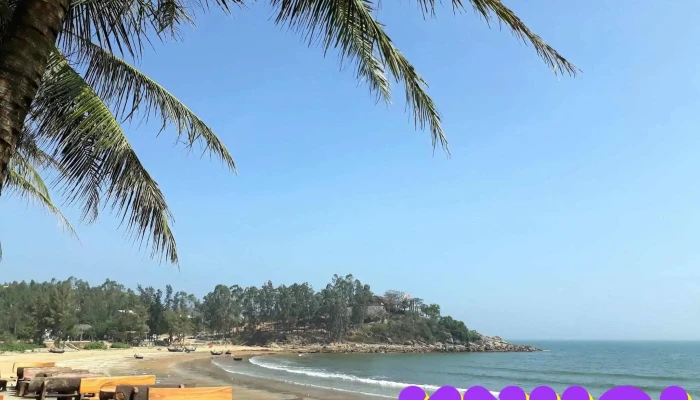 Bai Tam Quynh Phuong Tat Ca - Nghệ An